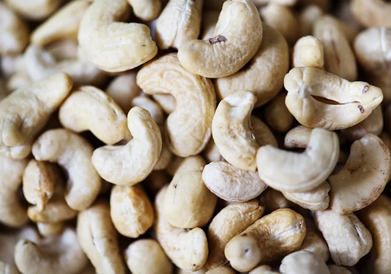 Harvested raw cashew nuts in shell on tree branch