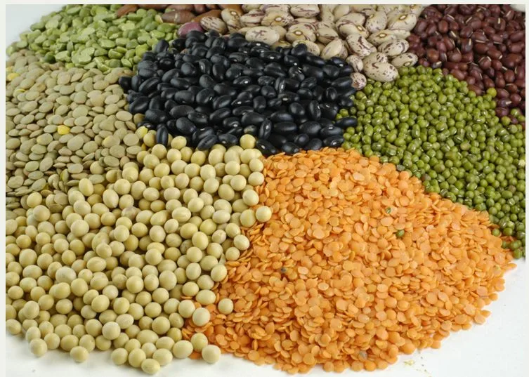 Organic farming beans produce